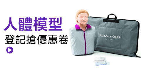 人體模型