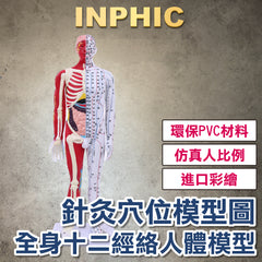 INPHIC-80CM中醫針灸人形 銅人穴位模型 專業教具 全身十二經絡 人體解剖 中醫穴道醫學模型-INFH102104A