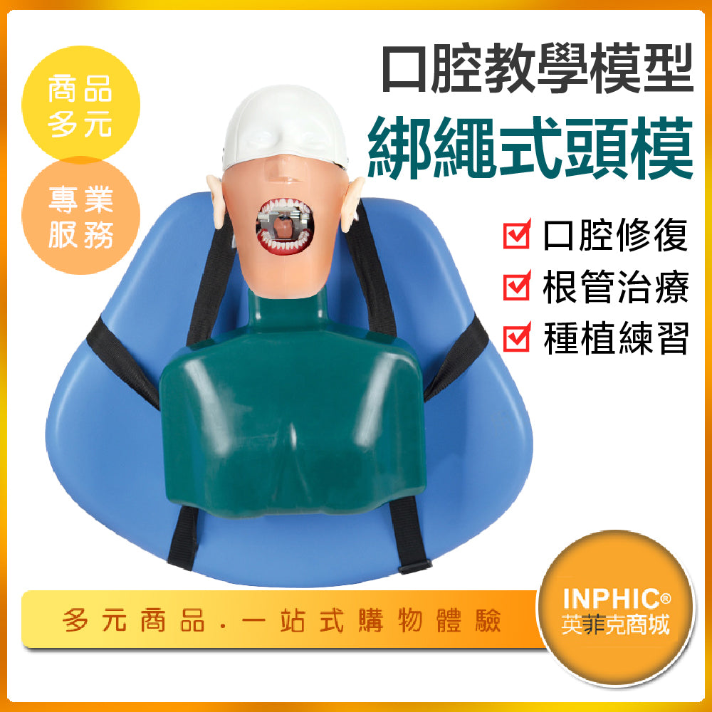 INPHIC-牙科模擬頭 牙根管口腔教學 模型牙模 - NFH094104A