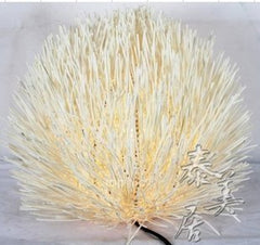 INPHIC-東南亞 泰國工藝品 木雕燈具 泰國裝飾燈 泰式擺飾 刺蝟型 檯燈