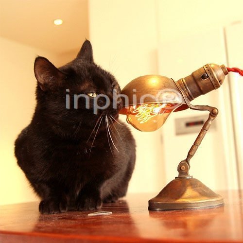 INPHIC-美國古董工業 復古燈具 手工折疊多用途 純銅 小檯燈