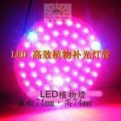 INPHIC-LED植物燈 光合盆栽植物補光燈 植物生長燈