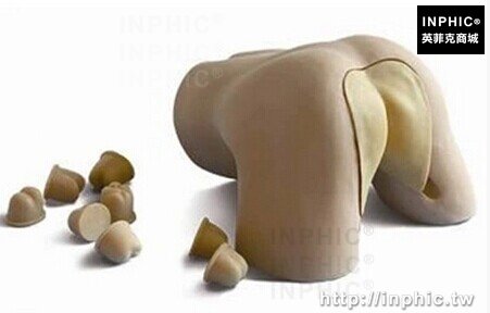 泌尿系統