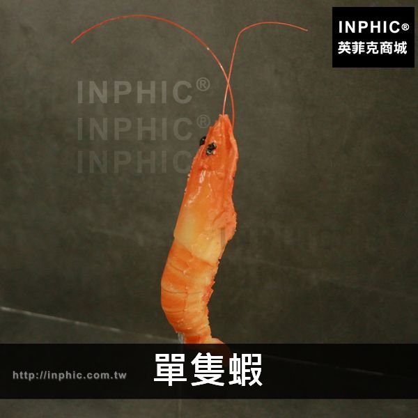 INPHIC-菜品模型肉腸食品大香腸道具仿真假河蝦訂做-單隻蝦