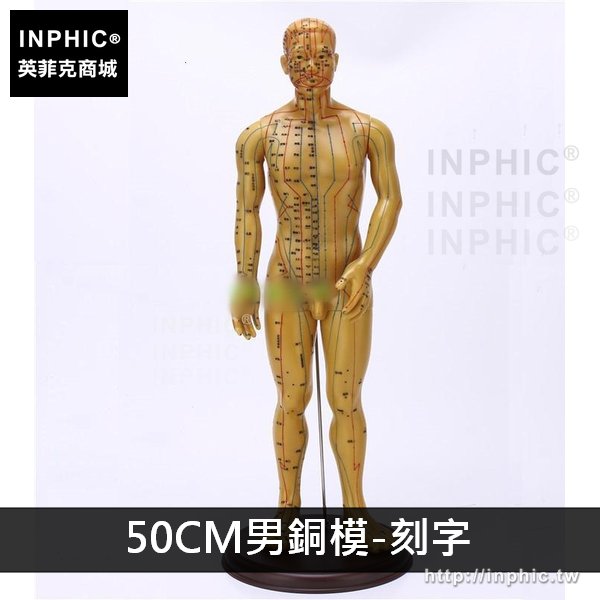 INPHIC-超清晰經絡通人體經絡模型教學模型中醫銅人男女人體模型針灸穴位醫學模型-50CM刻字男銅模