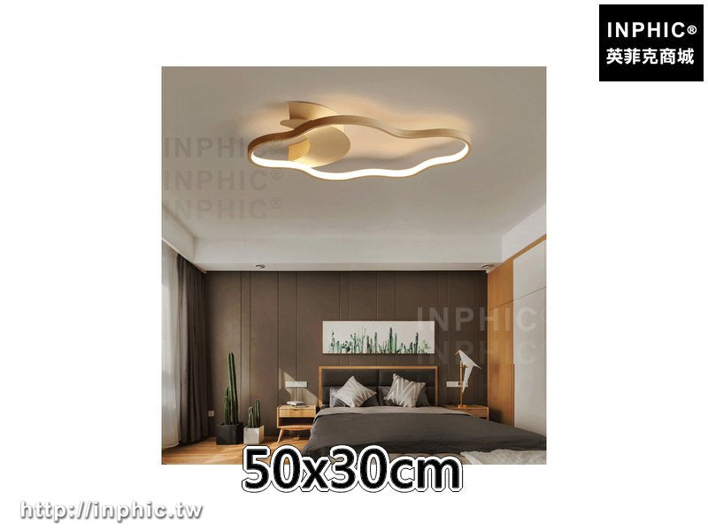 INPHIC-簡約客廳燈臥室書房led餐廳 雲朵吸頂燈燈具現代-50x30cm