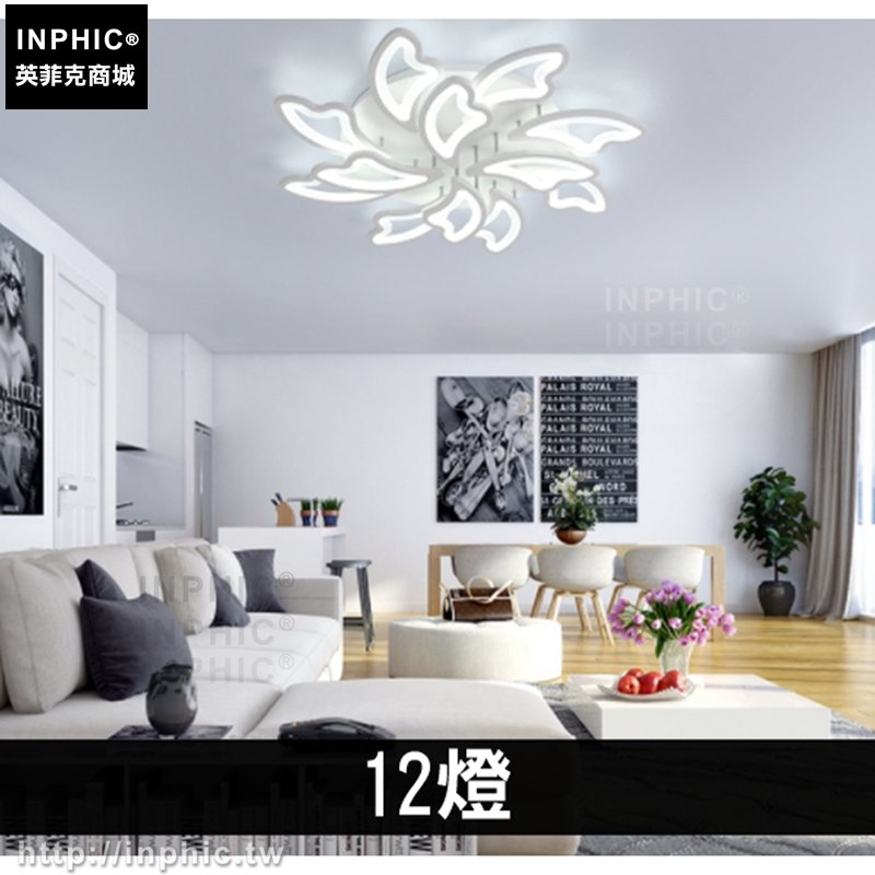 INPHIC-客廳智慧臥室燈簡約現代遙控燈具吸頂燈-12燈