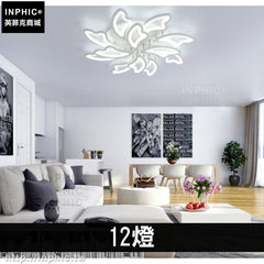 INPHIC-客廳智慧臥室燈簡約現代遙控燈具吸頂燈-12燈