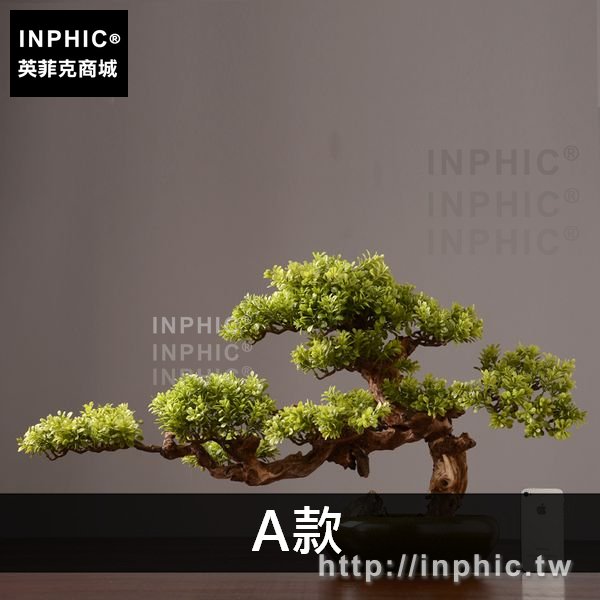 INPHIC-盆栽綠植裝飾品模擬室內植物客廳落地擺件-A款
