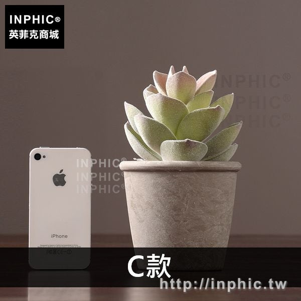 INPHIC-綠植多肉盆景擺設植物裝飾品擺件盆栽模擬客廳室內-C款