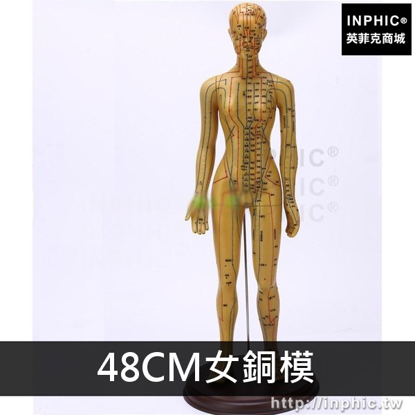 INPHIC-人體經絡模型醫學模型針灸男女經絡通穴位模型中醫美人體模型銅人-48CM女銅模