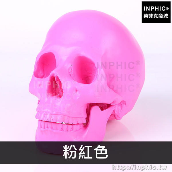 INPHIC-醫學模型美術臨摹樹脂骷髏頭醫學頭骨模型醫學教具模擬11人頭骨模型醫療實驗道具-粉紅色