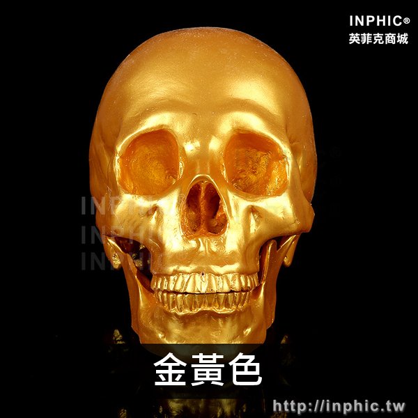 INPHIC-模擬1:1人頭骨模型醫療實驗道具美術臨摹醫學頭骨模型醫學模型醫學教具樹脂骷髏頭-金黃色