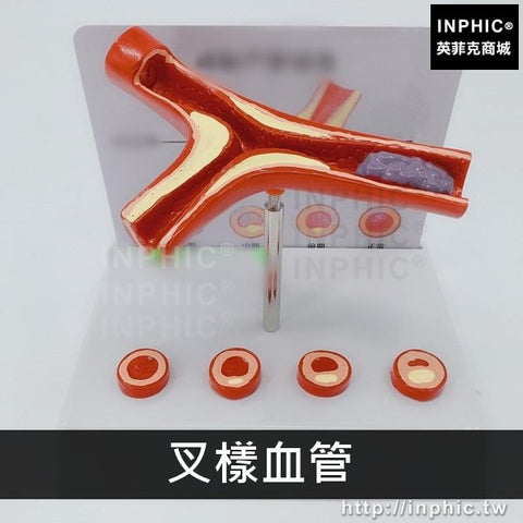 動脈穿刺採血模型