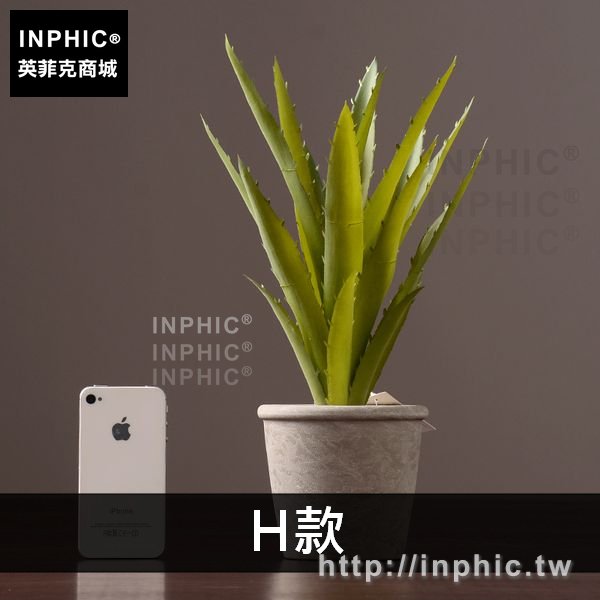 INPHIC-室內裝飾品擺設客廳多肉擺件綠植模擬盆栽盆景植物-H款