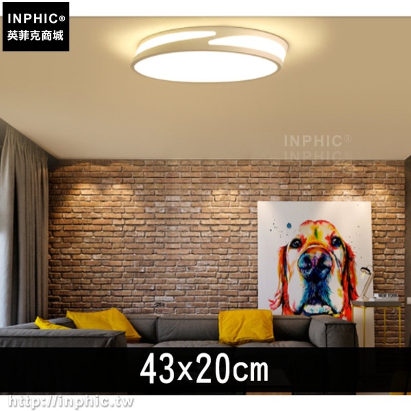 INPHIC-雙側透光遙控調光吸頂燈書房燈客廳燈房間圓形簡約-43x20cm