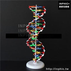 INPHIC-醫學模型醫學教具高中生物DNA結構模型醫療實驗道具教學儀器大款雙螺旋結構