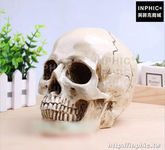 INPHIC-人頭骨骷髏頭藝用醫學模型人體肌肉靜物繪畫骨骼解剖頭顱骨模型美術