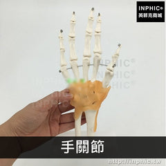 INPHIC-醫學模型肘關節人體六大功能關節模型手關節髖關節醫療實驗道具肩關節附韌帶模型膝關節腳關節-手關節