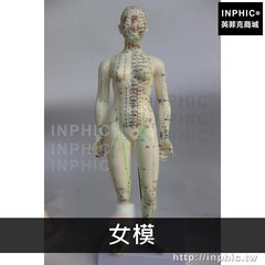 INPHIC-醫療實驗道具醫學教具中醫針灸穴位模型人體經絡模型全皮白色人模醫學模型男女人體模型-女模