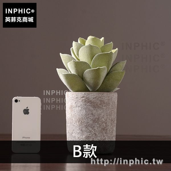 INPHIC-盆栽模擬裝飾品擺件多肉盆景綠植室內擺設植物客廳-B款