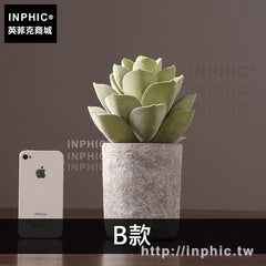 INPHIC-盆栽模擬裝飾品擺件多肉盆景綠植室內擺設植物客廳-B款