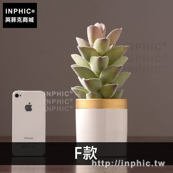 INPHIC-植物盆栽盆景擺設裝飾品綠植客廳多肉擺件室內模擬-F款