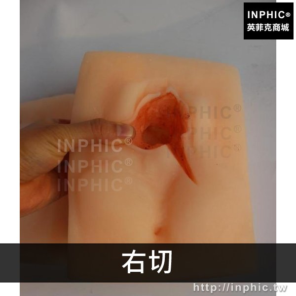 INPHIC-會陰縫合練習模組醫學模型婦產科縫合技能訓練模型中醫美醫療實驗道具外陰縫合練習模型-右切