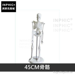 INPHIC-美術人體骨骼模型可活動教學模型有支架骷髏骨架醫療實驗道具醫學模型-45CM骨骼