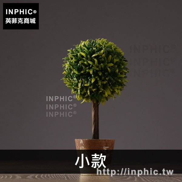 INPHIC-北歐桌面裝飾品簡約擺件盆栽綠植擺設美式家居現代模擬客廳-小款