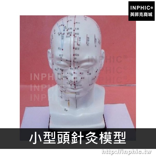 INPHIC-醫學模型人體經絡模型中醫針灸銅人人體模型經絡通男女中醫美穴位模型-小型頭針灸模型