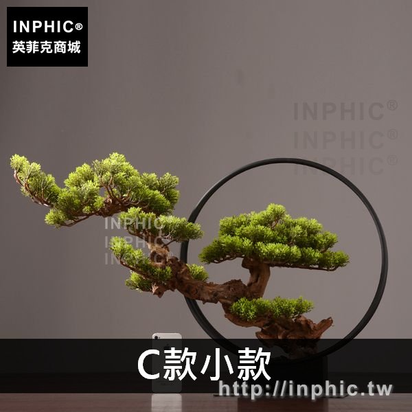 INPHIC-客廳室內模擬落地盆栽擺件裝飾品植物綠植-C款小款