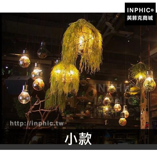 INPHIC-火鍋主題餐廳胡桃植物綠植燈飾音樂燈具吊燈圓形-小款
