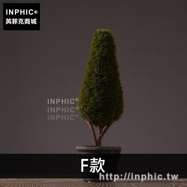 INPHIC-咖啡廳盆栽家居裝飾品擺設美式綠色植物主題餐廳北歐模擬擺件-F款