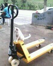 INPHIC-液壓搬運車2T