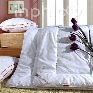 INPHIC-床上用品 被子 九孔抗菌加厚冬被 被芯