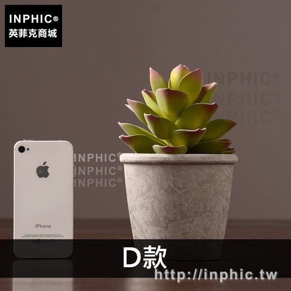 INPHIC-室內綠植植物客廳盆栽擺件模擬擺設多肉裝飾品盆景-D款