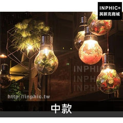 INPHIC-燈具咖啡廳玻璃酒館藝術吊燈胡桃主題餐廳裝飾綠植-中款