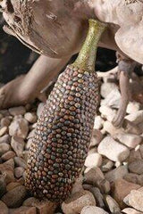 INPHIC-花瓶 花插 陶瓷手工工藝品 裝設品 臺面落地花瓶