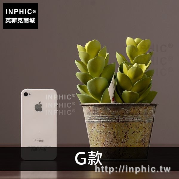 INPHIC-客廳盆景綠植盆栽擺設植物裝飾品多肉模擬室內擺件-G款