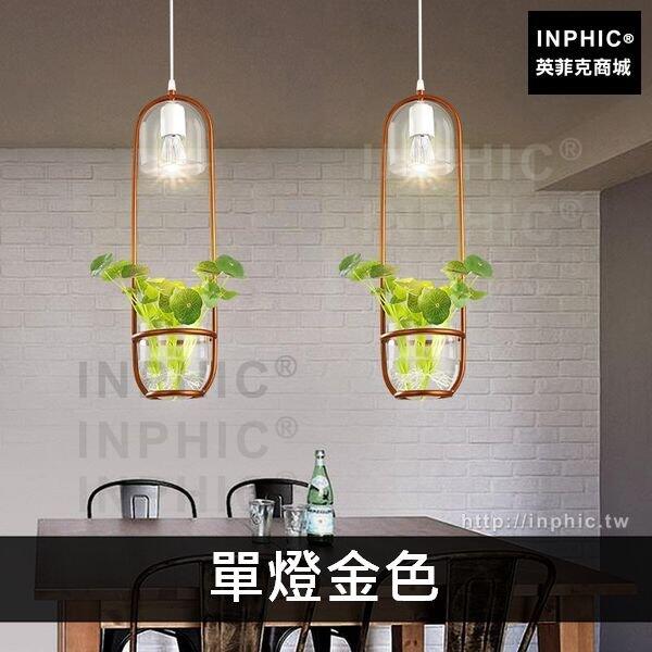 INPHIC-燈具植物吧臺咖啡廳餐廳客廳書房工業裝飾吊燈北歐-單燈金色