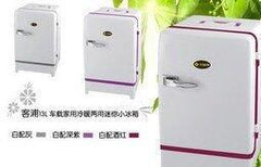 INPHIC-車用冰箱13L 車家兩用冷暖兩用迷你車載小冰箱電冰箱