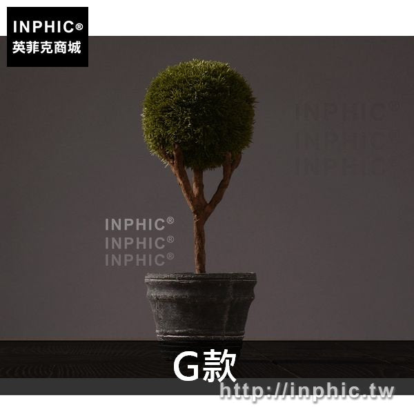 INPHIC-北歐主題餐廳擺設盆栽擺件咖啡廳裝飾品綠色植物家居美式模擬-G款