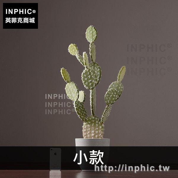 INPHIC-盆景室內熱帶植物家居北歐裝飾品客廳擺件仙人掌落地模擬-小款