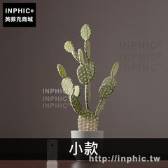 INPHIC-盆景室內熱帶植物家居北歐裝飾品客廳擺件仙人掌落地模擬-小款