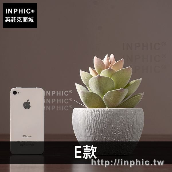 INPHIC-擺件室內盆景綠植客廳多肉植物盆栽擺設模擬裝飾品-E款