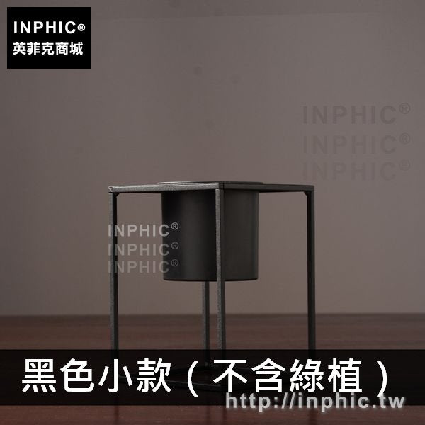 INPHIC-裝飾品插花擺設客廳北歐花瓶家居餐桌鐵藝擺件-黑色小款（不含綠植）