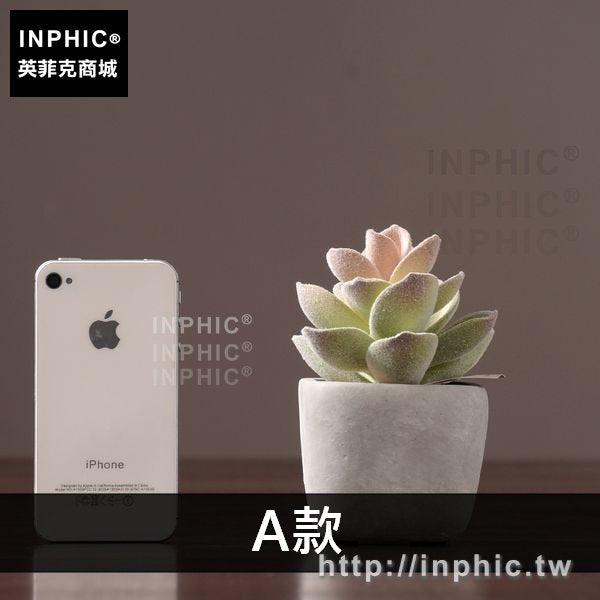 INPHIC-客廳盆栽綠植多肉室內盆景植物模擬擺設擺件裝飾品-A款