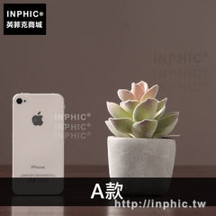 INPHIC-客廳盆栽綠植多肉室內盆景植物模擬擺設擺件裝飾品-A款