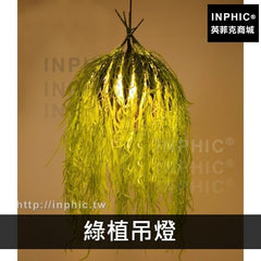 INPHIC-燒烤仿植物胡桃音樂主題餐廳花草裝飾-綠植吊燈